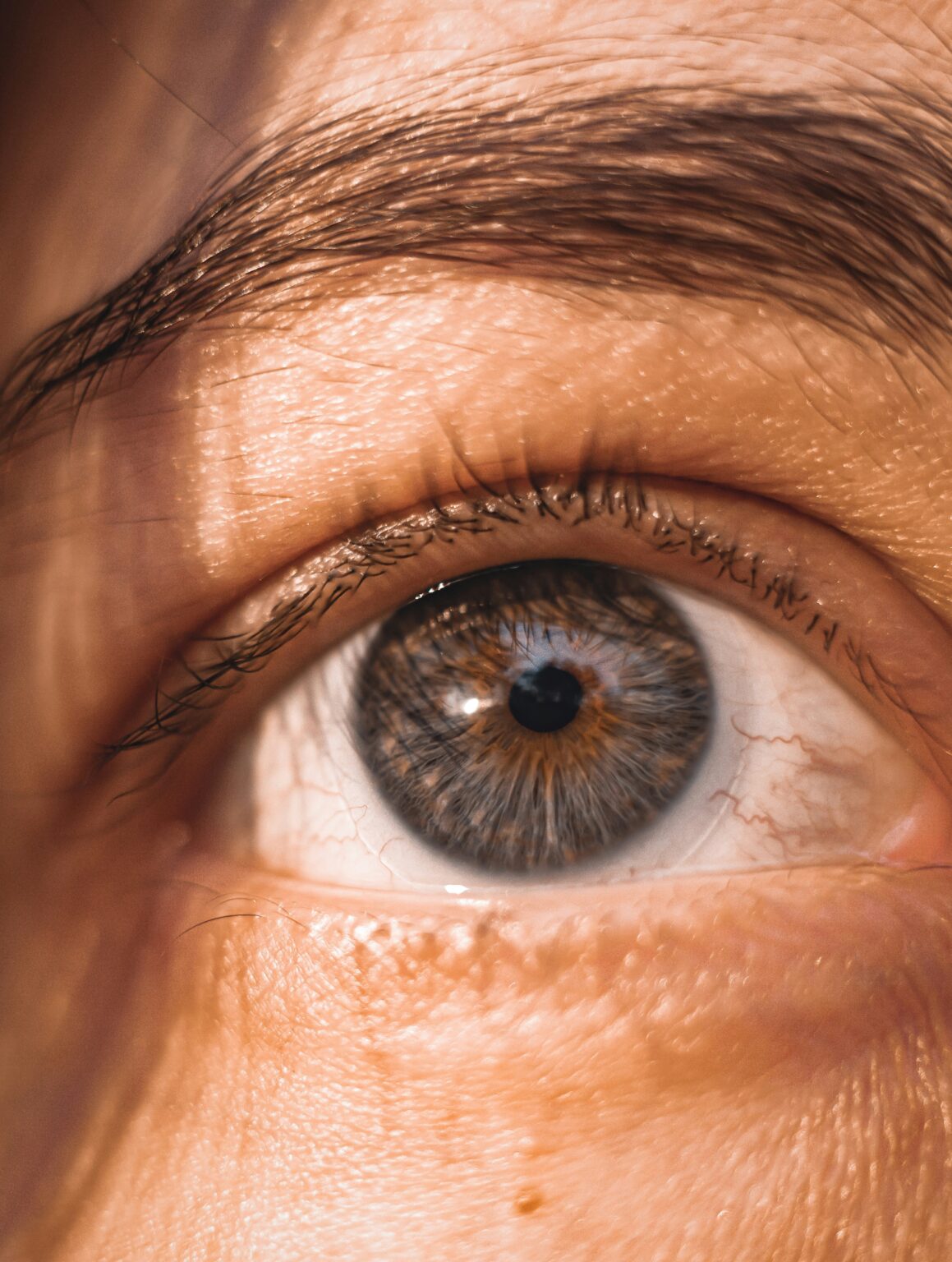 tony-litvyak-ssj5l0bkYDw-unsplash (1)